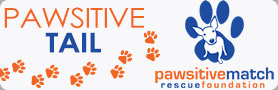 Pawsitive Match Tail